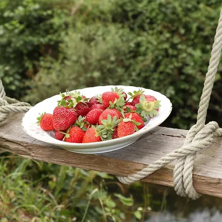 Casa de Campo Moinho De Pedra Ma