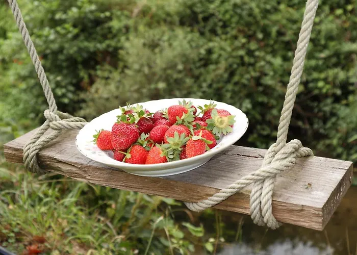 Εξοχικό σπίτι Moinho De Pedra Ma